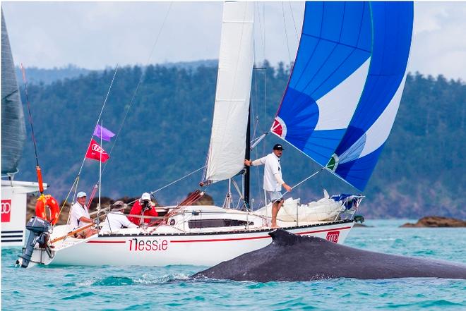 Whale and Nessie – Day 2 - Audi Hamilton Island Race Week © Andrea Francolini